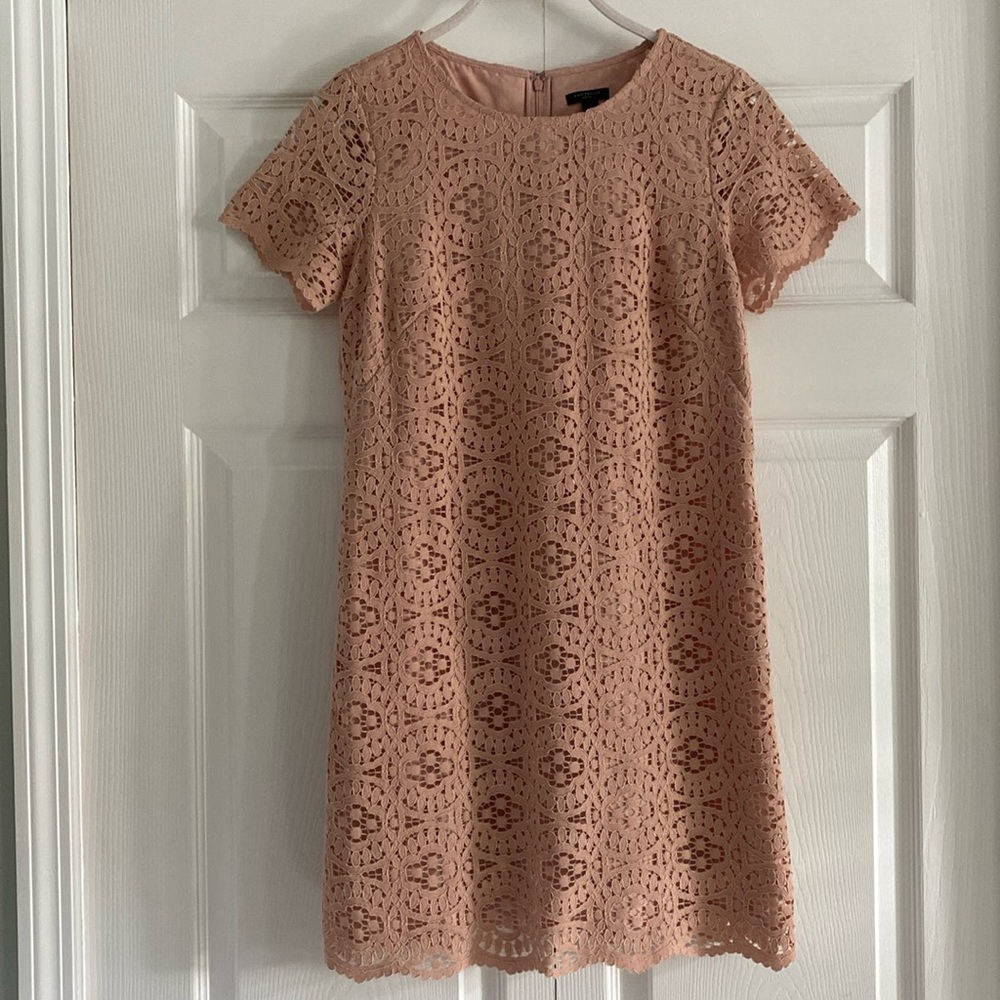 Ann Taylor Blush Pink Lace Dress - Size 2 Petite